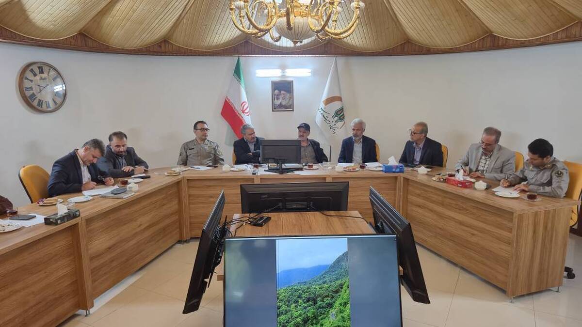 راه‌اندازی دبیرخانه دائمی «برنامه ملی حفاظت از فوک خزری» / هم‌افزایی برای نجات تنها پستاندار بومی کاسپین 